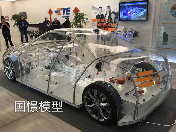 宁陵县透明车模型